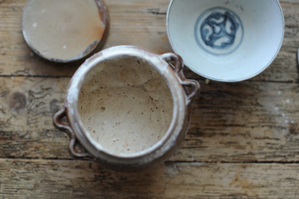 bubbly sourdough starter