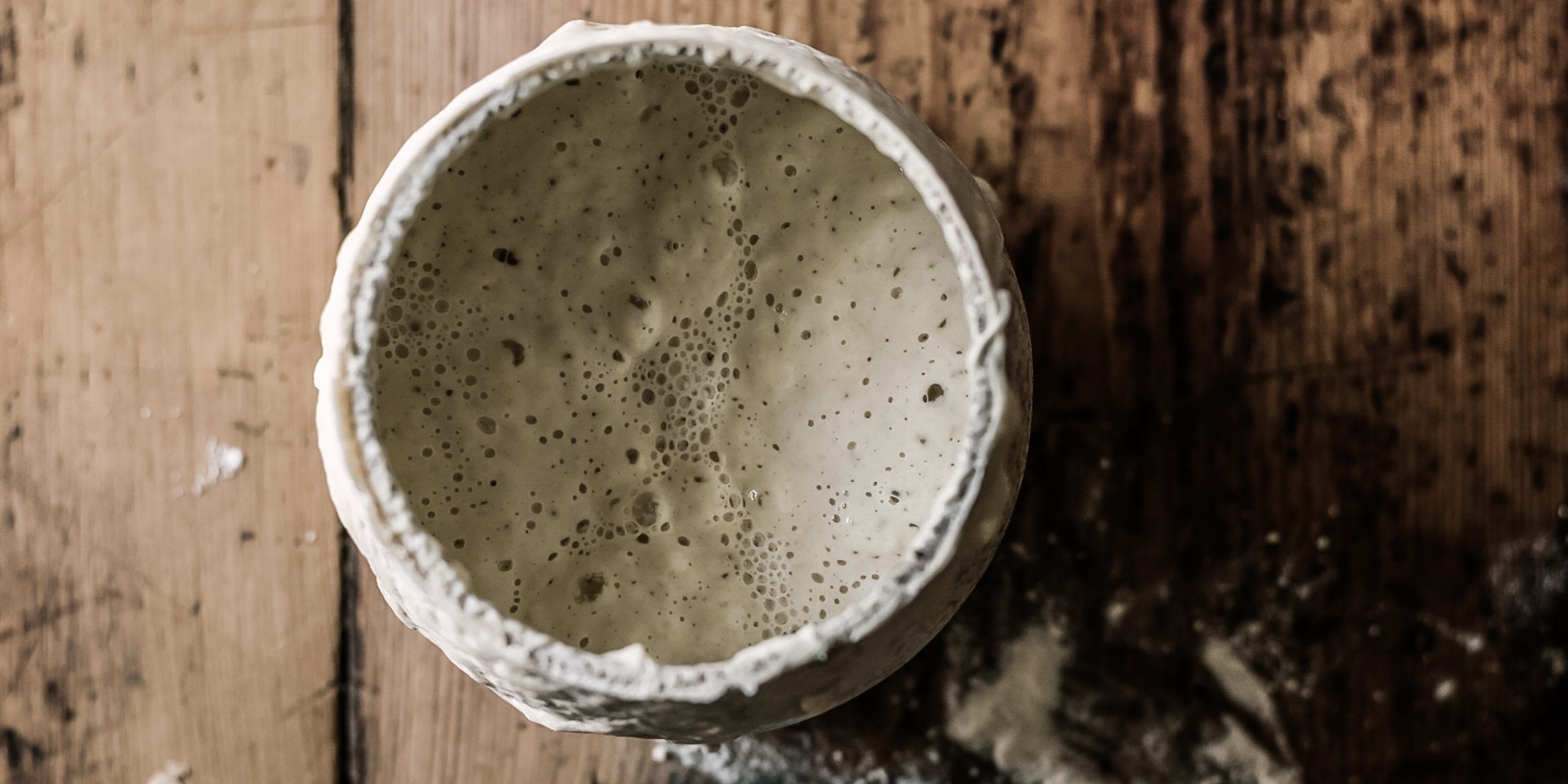 sourdough starter