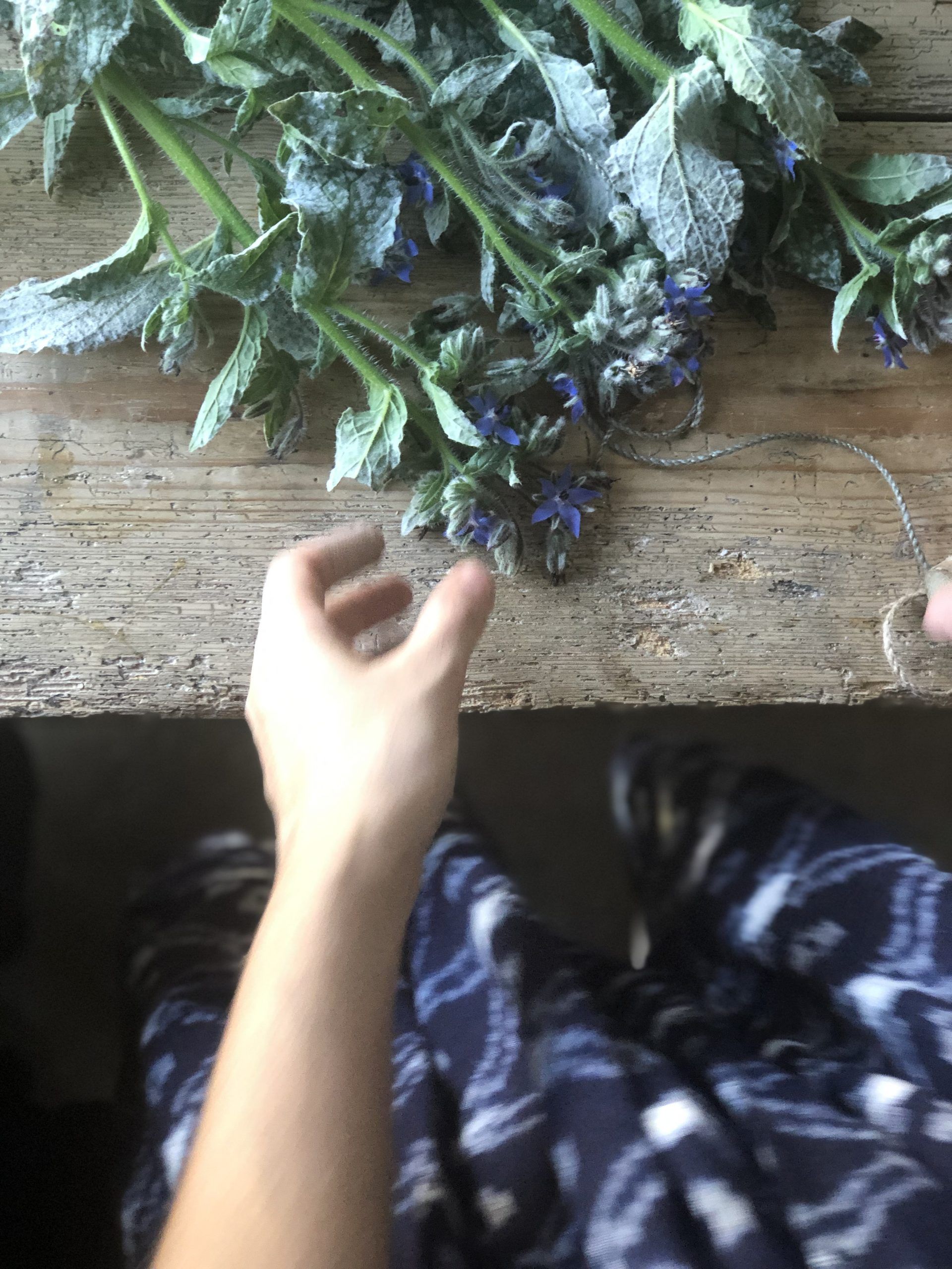 The Sourdough School: Sweet Baking: Nourishing the Gut & the Mind – Signed Copy - Image 14