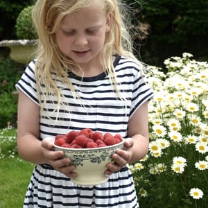 Picking raspberries