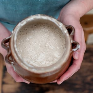 bubbly sourdough starter
