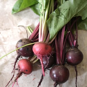 beetroot