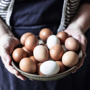 eggs