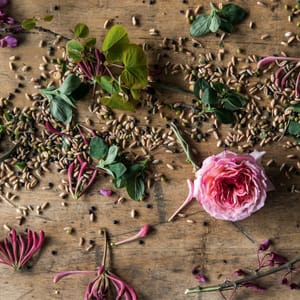 Edible flower for milling