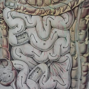 THE GUT MICROBIOME BREAD