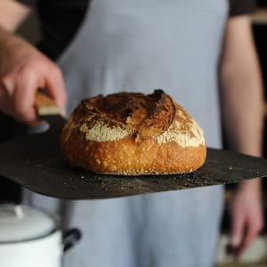 iron baking peel