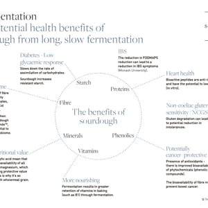 fermentation