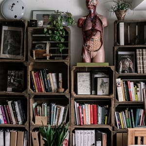 library