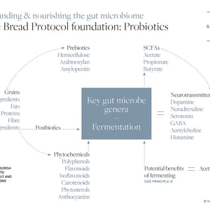 Bread Protocol fit