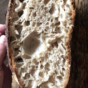 Best Sourdough in the world Baked by Vanessa Kimbell