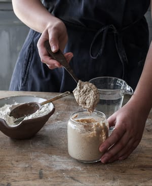 Ripe sourdough starter