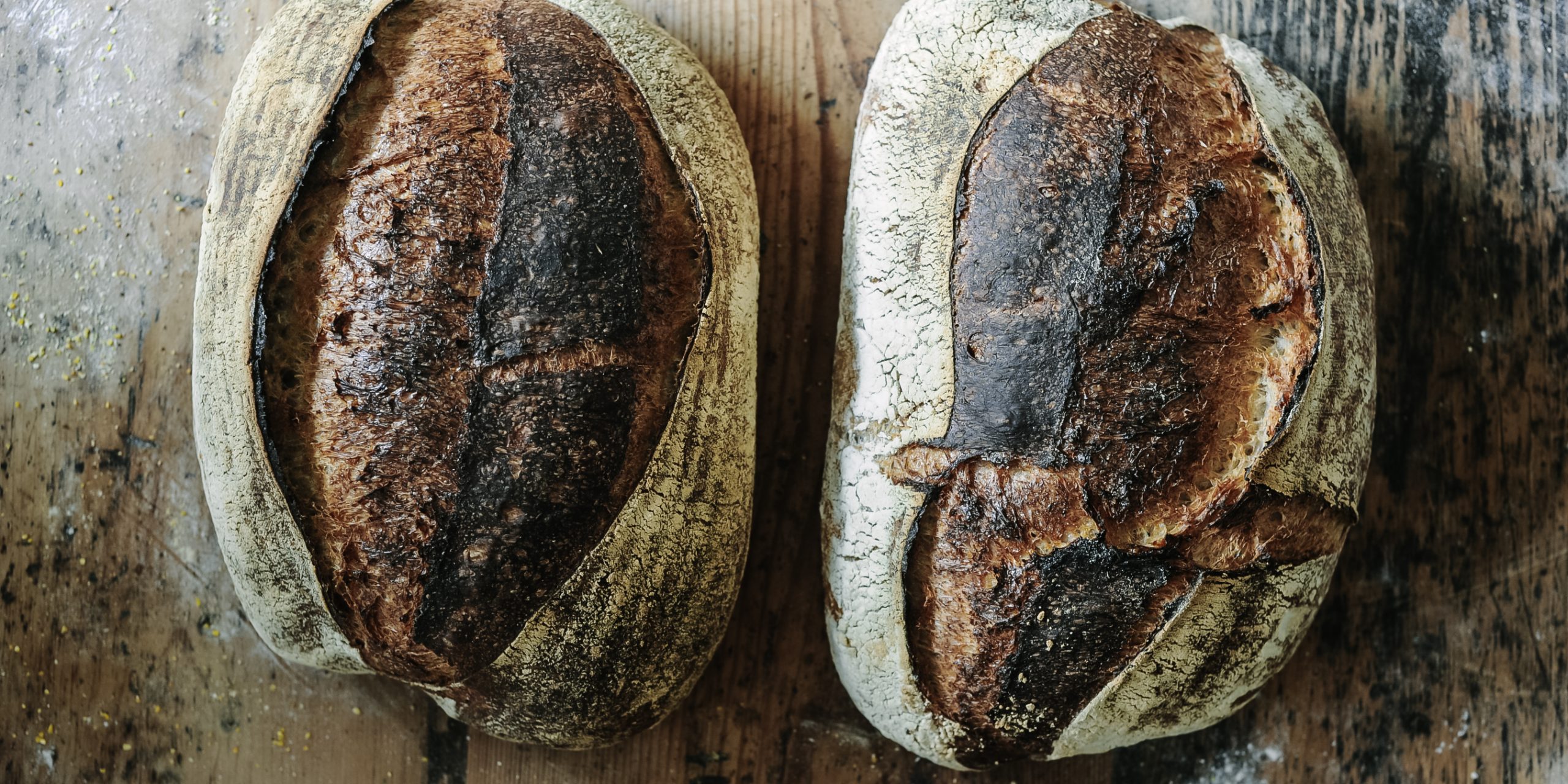 sourdough bread