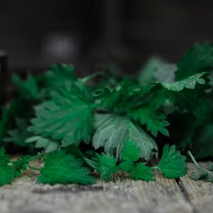 Adding nettles to your flour blends