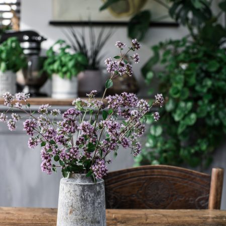 A list of Edible Flowers