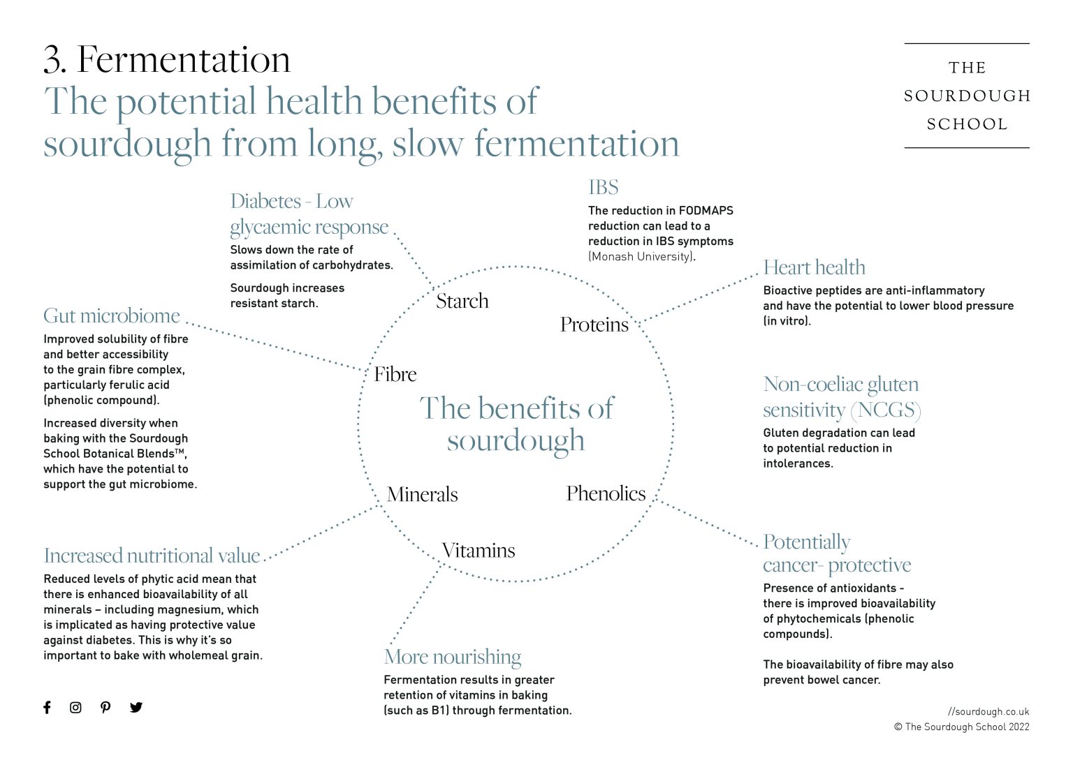 Principle No 5 The Potential Benefits of Fermentation Overview The