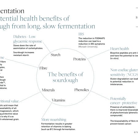 Principle No 5 The Potential Benefits of Fermentation Overview