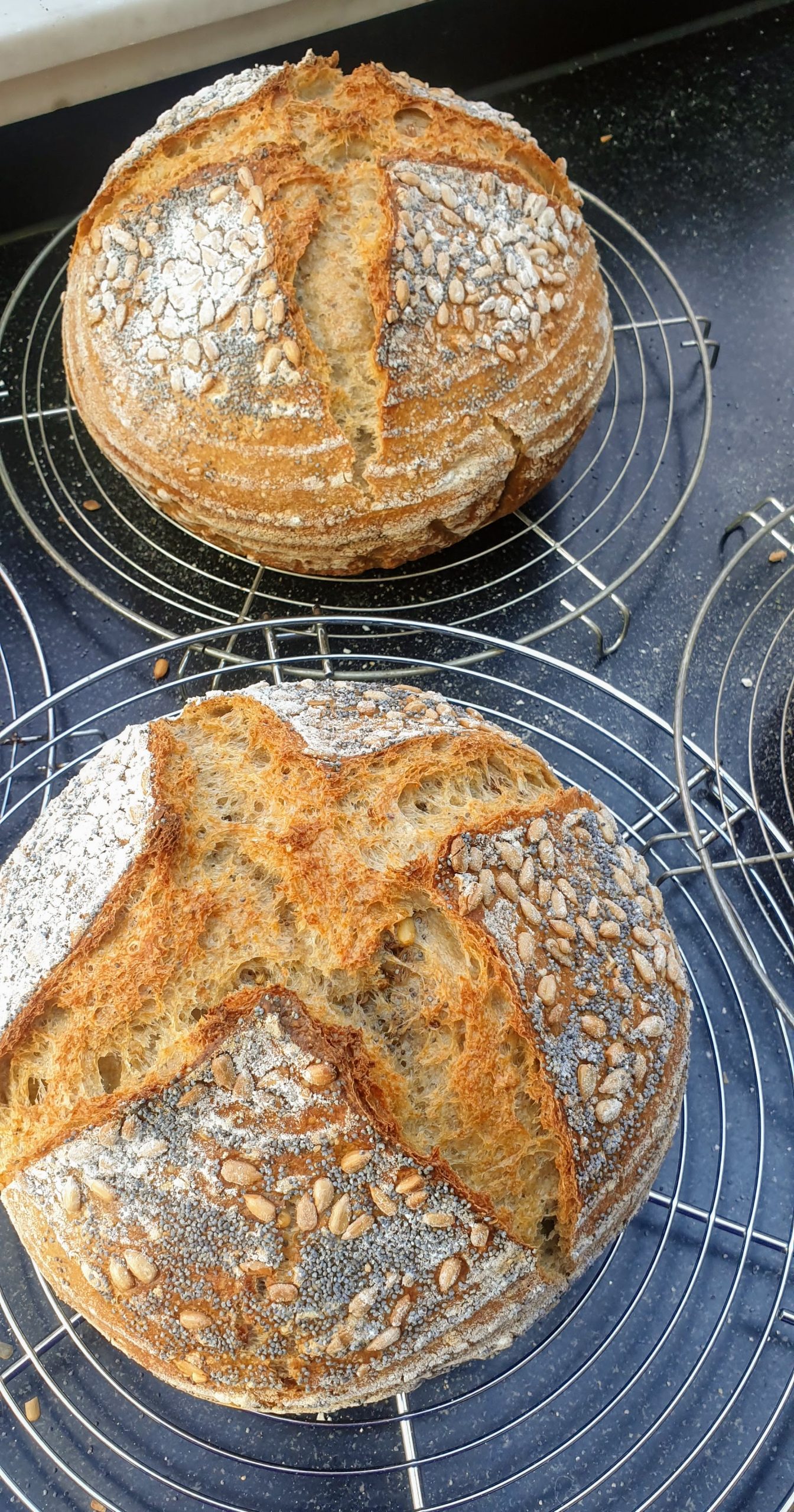 LoafNest Sourdough (aka Sauerteig aka Zuurdesem) Recipe